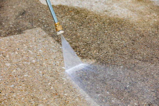 Best Roof Washing  in Port Jefferson, NY